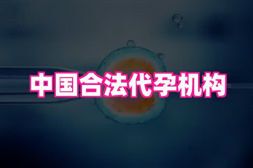 江苏助孕网 1