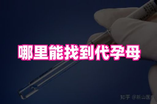 江苏助孕网 2