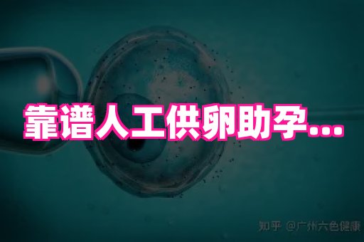 江苏助孕网 4